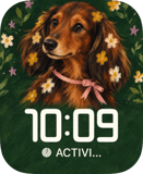 Daisy Spaniel watch face preview image for Apple Watch