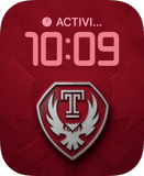 Temple Owls Apple Watch face - Sports