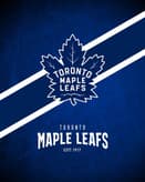 🍁 Toronto Maple Leafs Apple Watch face - Sports