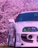🌸 Supra Cherry Blossom Apple Watch face - Cars