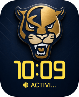 FIU Panthers watch face preview for Apple Watch