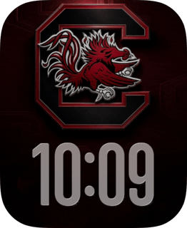 South Carolina watch face preview for Apple Watch