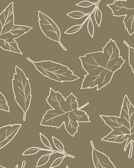 Minimalist watch face featuring delicate white outlines of leaves on a muted olive-green background