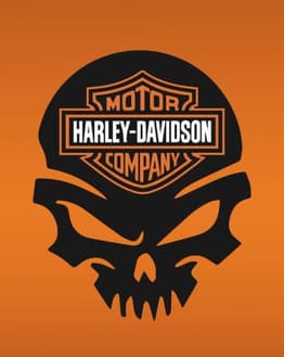 Harley-Davidson logo integrated into a bold black skull design on an orange background, featured on a watch face.