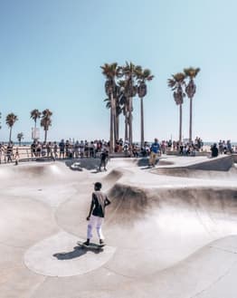 Skaters at the Venice Beach skate park with palm trees and a bright blue sky, designed for a watch face.