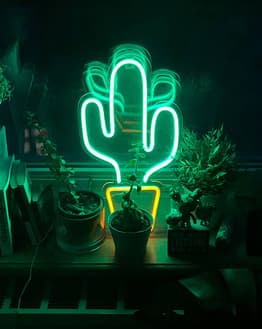 Glowing green neon cactus with a yellow pot, surrounded by potted plants in a dimly lit setting, featured on a watch face.