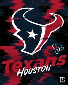 Houston Texans watch face featuring the team's bull logo on a red and navy patterned background.