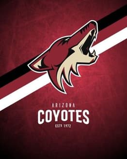 Arizona Coyotes logo with a red, black, and white background, featuring a howling coyote, displayed on a watch face.