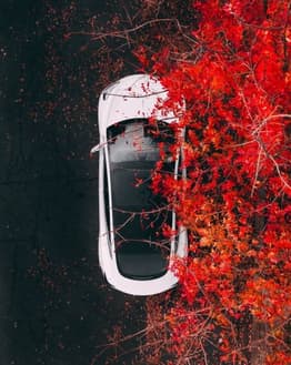 Tesla Model 3 watch face with a top-down view of a white Tesla surrounded by vibrant red autumn leaves