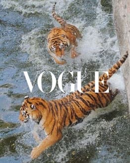 Two wild tigers jumping through water with Vogue typography overlay, designed as a dynamic and stylish watch face