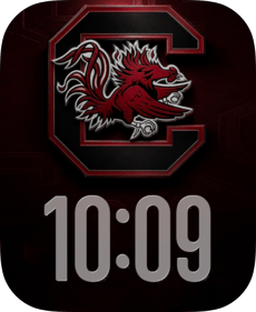 South Carolina Apple Watch face - Sports