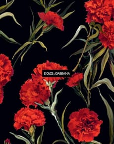 🌹 Dolce & Gabbana Floral Charm Apple Watch face - Luxury