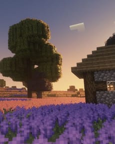 🌄 Minecraft Scenic Sunset Apple Watch face - Video Games