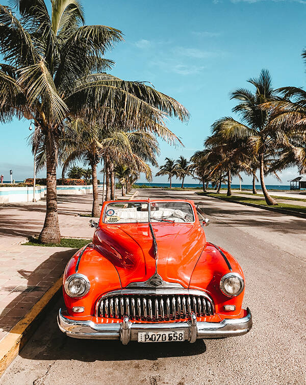 🚘 Vintage Tropical Drive Apple Watch face - Cities