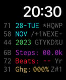💻 Terminal Apple Watch face