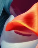 🔥 Vibrant Fluid Waves Apple Watch face - Brands