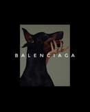 🐾 Balenciaga Luxury Doberman Apple Watch face - Brands, Luxury
