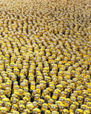 🌟 Minion Crowd Apple Watch face - TV