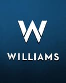 🔵 Williams Racing Formula 1 Apple Watch face - Cars, Sports
