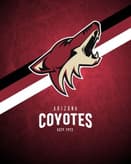 🐺 Arizona Coyotes Apple Watch face - Sports