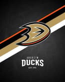 🦆 Anaheim Ducks Apple Watch face - Sports