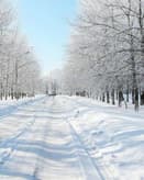 🌨️ Winter Wonderland Apple Watch face - Nature