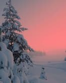 🌅 Winter Sunset Glow Apple Watch face - Nature