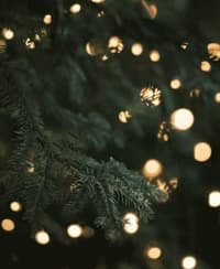 Evergreen Glow🎄 Apple Watch face