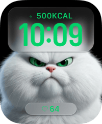 Fluffy White Persian Apple Watch face - Animals