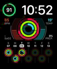 📅 Vital Calendar Apple Watch face