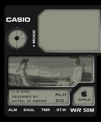 📸 Casio Photo-Inspired Apple Watch face - Brands, Watches