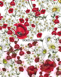 🌺 Dolce & Gabbana Floral Elegance Apple Watch face - Luxury