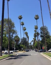 🌴 Classic LA Palm Trees Apple Watch face - Cities