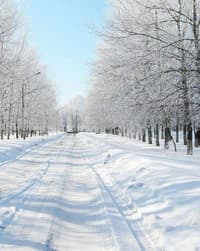 🌨️ Winter Wonderland Apple Watch face - Nature