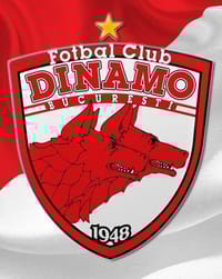 🔴⚪ Dinamo București Logo watch face