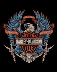 🦅 Harley-Davidson Eagle watch face