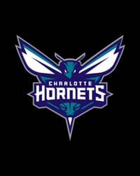 🐝 Charlotte Hornets watch face