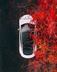 🍂 Tesla Model 3 Autumn Elegance watch face