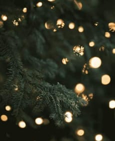 Evergreen Glow🎄 Apple Watch face