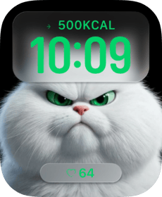 Fluffy White Persian Apple Watch face - Animals