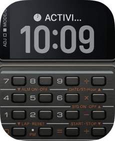 Graphite Calculator Apple Watch face - Brands, Watches