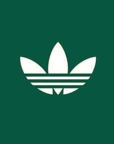 🌿 Minimal Adidas on Forest Green Apple Watch face - Brands