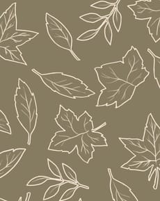 🍂 Minimalist Leaf Pattern Apple Watch face - Nature