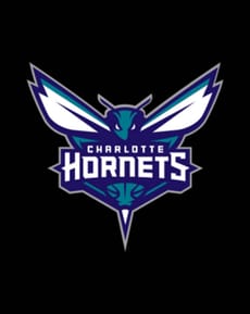 🐝 Charlotte Hornets Apple Watch face - NBA, Sports