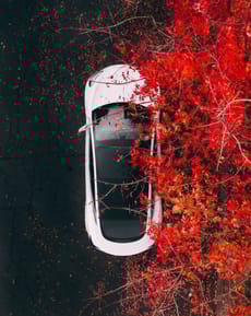 🍂 Tesla Model 3 Autumn Elegance Apple Watch face - Cars