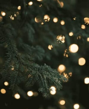 Evergreen Glow🎄 Apple Watch face