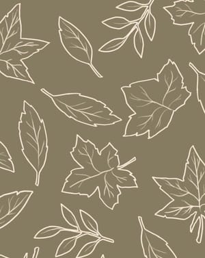 🍂 Minimalist Leaf Pattern Apple Watch face - Nature