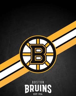 🐻 Boston Bruins Apple Watch face - Sports