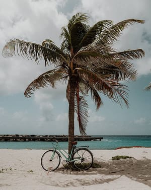 🏝️ Tropical Beach Palm Apple Watch face - Cities