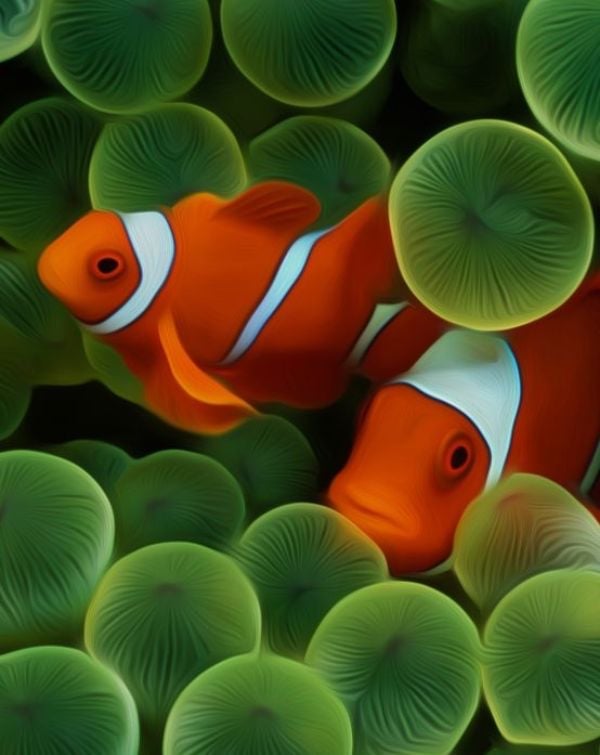 🐠 Vibrant Clownfish Elegance watch face